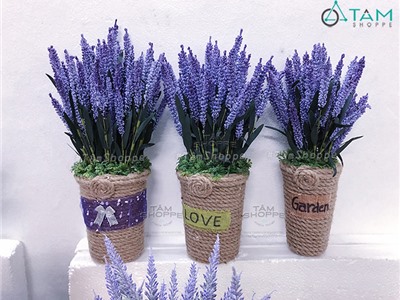 Chậu hoa Lavender Vintage Số 51