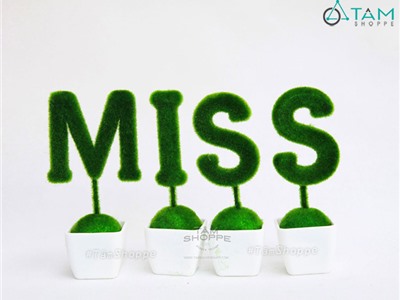 Bộ chậu cây chữ MISS