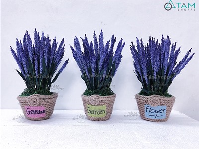 Chậu hoa để bàn Lavender Số 54 