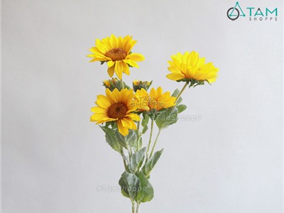 Cành hoa hướng dương