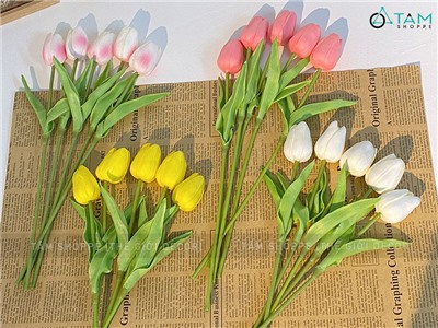  Bó 05 cành hoa tulip cao su như thật [Loại 1 - cùng màu] CANHHOA-03 Lượt xem:2 người đã xem
