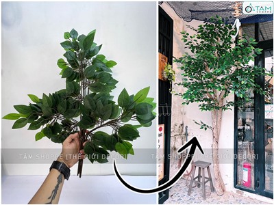 Bó nhiều cành lá si giả làm cây xanh đẹp như thật [2 loại - Bó 3/10/12 cành] CANHLA-04