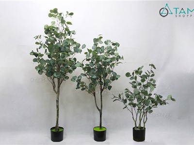 Cây bạch đàn lá táo tròn giả trang trí loại 1 F-CHGL-07