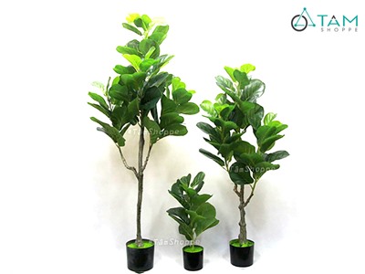 Cây bàng Singapore giả trang trí loại 1 cao 60-150cm F-CGNT-08