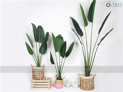 Chậu cây chuối cảnh giả cao 120-200cm F-CGNT-17