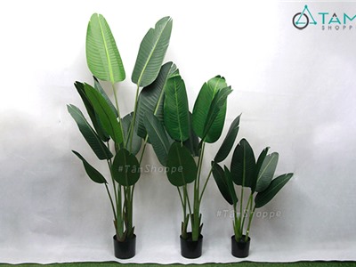 Cây chuối cảnh giả lá xẻ loại 01 F-CHGL-10