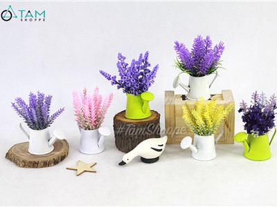Chậu hoa mini để bàn bình tưới Lavender nhiều kiểu CHGDB-LVD-01