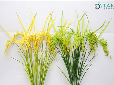 Cành bông lúa giả trang trí y như thật