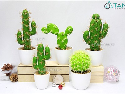 Châu xương rồng giả 5 kiểu chậu nhựa để bàn F-XR-80