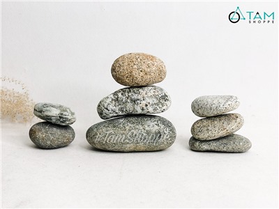 Viên đá cuội tự nhiên Decor - chặn giấy - kỳ lưng VDTC-SOIDA-01