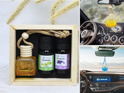 Set 01 lọ đựng tinh dầu treo xe + 02 chai tinh dầu Scentastic 10ml kèm hộp gỗ TD-TX-01