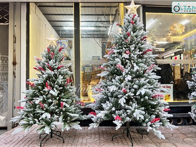 Cây thông Noel phủ tuyết lá PE gắn chùm đỏ liti cao từ 150-200cm X-TREE-39