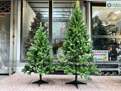 Cây thông Noel xanh trơn 1 loại lá đầu tròn từ 150-200cm X-TREE-14