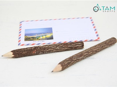 Bút chì thân gỗ
