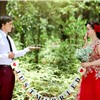 Dây treo chữ JUST MARRIED (Có nhiều màu)