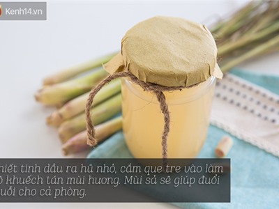 Tự làm tinh dầu sả chống muỗi an toàn mà vô cùng hiệu quả