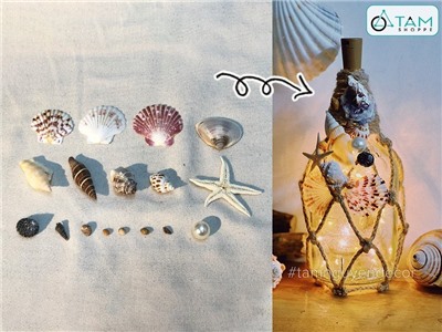 Set vỏ sò ốc sao biển ngọc trai làm handmade 17 cái VOSOOC-SET01