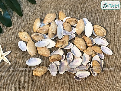 Vỏ sò lụa vàng (Ốc chíp chíp) hủ 160-180gr VOSO-CHIP-01