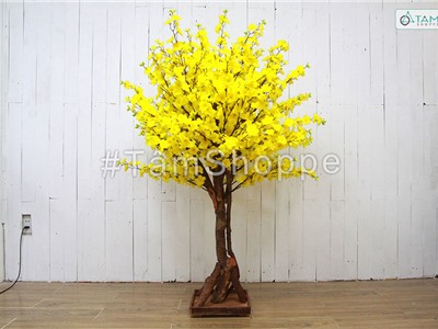 Cây hoa mai vàng giả trang trí cao 1m5-1m7 như thật