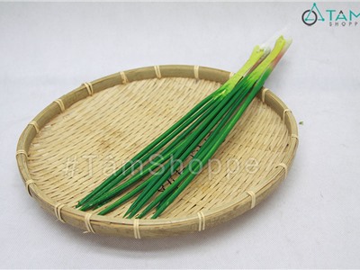 Mô hình lá hành giả trang trí như thật D34cm