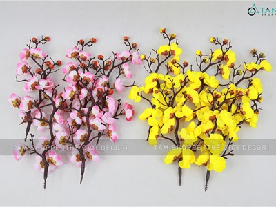 Set 05 cành mai đào bonsai D27cm cùng loại CHG-137-T