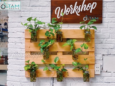 Kệ pallet gỗ áp tường lọ thủy tinh trồng hoa HTYC-01