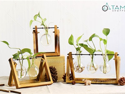 Set khung gỗ lọ hoa thuỷ tinh bóng tròn để bàn W-KGLH-02