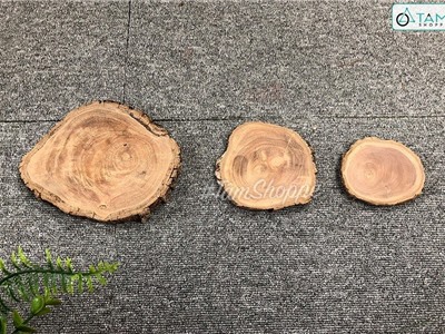 Lát gỗ trang trí ĐK 9-20cm W-LG-01