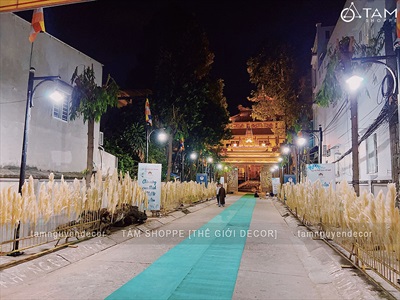 Bó 5 cành bông cỏ lau xù khô tự nhiên [Bông to - Dài 120-130cm] HOAKHO-03