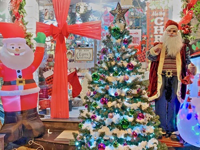 Cây thông Noel xanh trơn 1 loại lá đầu tròn [Cao 1m5-4m5] X-TREE-LP-TNQC
