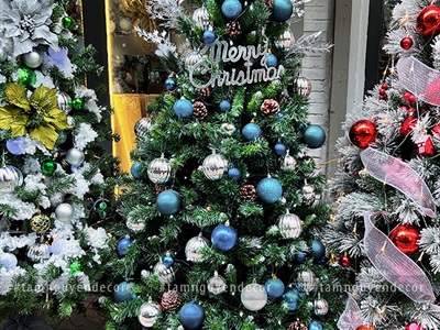 Cây thông Noel xanh trơn 1 loại lá đầu tròn [Cao 1m5-4m5] X-TREE-LP-TNQC