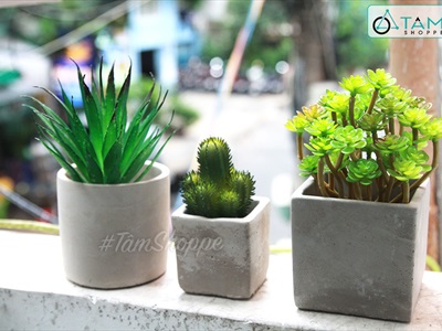 Chậu trồng cây xi măng vuông màu tự nhiên nhiều cỡ CHAUTRONGCAY-01