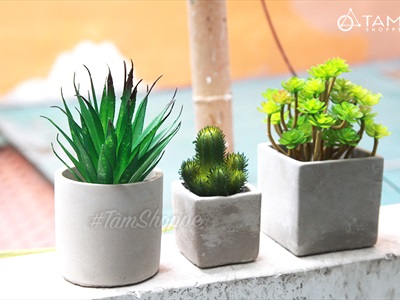 Chậu trồng cây xi măng trụ tròn màu tự nhiên nhiều cỡ CHAUTRONGCAY-02