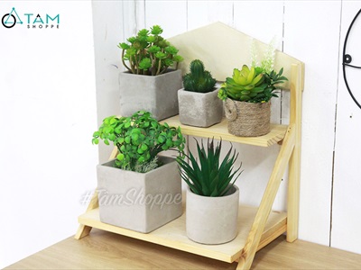 Chậu trồng cây xi măng vuông màu tự nhiên nhiều cỡ CHAUTRONGCAY-01