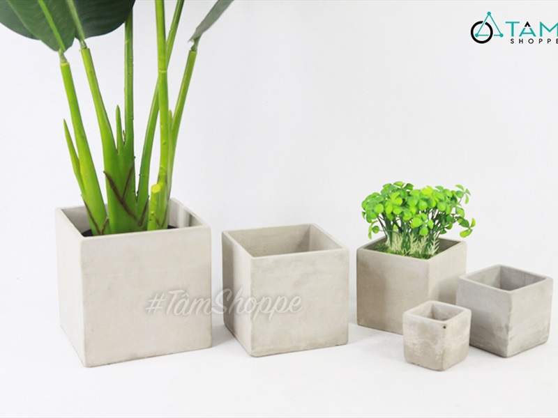 Chậu trồng cây xi măng vuông màu tự nhiên nhiều cỡ CHAUTRONGCAY-01