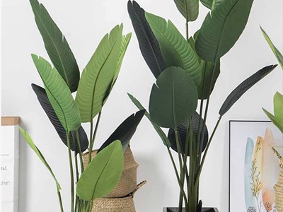 Chậu trồng cây xi măng vuông màu tự nhiên nhiều cỡ CHAUTRONGCAY-01