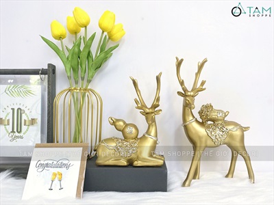 Lọ hoa kim loại vàng gold lõi trong suốt [xi mạ - sáng đẹp] BINHLOHOA-02