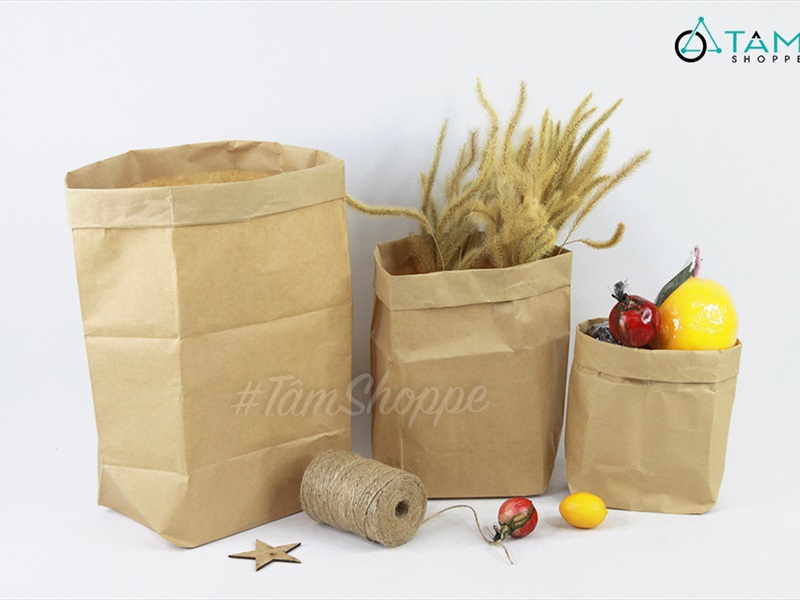 Set 05 túi giấy xi măng kraft đựng đồ cùng cỡ TUIDUNG-02