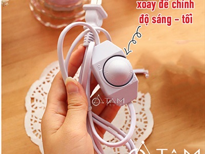 Đèn xông tinh dầu gỗ vuông in hình chim én [Tặng bóng đèn] DXTDD-M0094