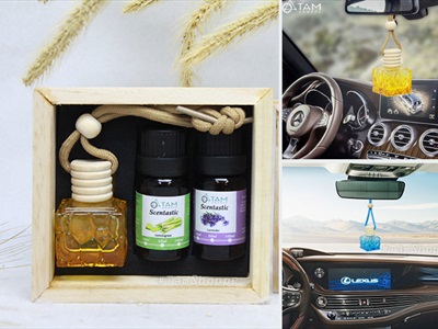 Set 01 lọ đựng tinh dầu treo xe + 02 chai tinh dầu Scentastic 10ml kèm hộp gỗ TD-TX-01
