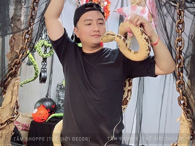Con rắn lớn trang trí dài 190cm (con trăn) nhồi bông TCV-RAN-03