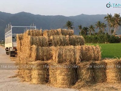 Cuộn rơm khô trang trí loại đẹp nhiều cỡ PK-ROM-01
