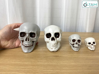 Mô hình đầu lâu hộp sọ trang trí nhiều cỡ DAULAU-01