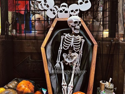 Mô hình treo Halloween vải nỉ phối màu nhiều kiểu HLW-TREO-NI-01
