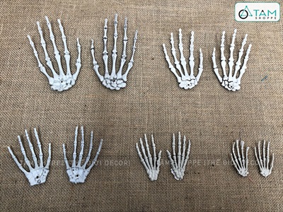 Mô hình xương bàn tay người như thật nhiều cỡ XUONGNGUOI-01