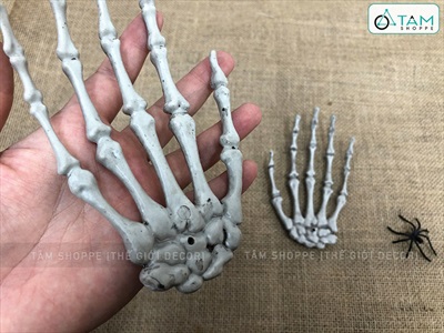 Mô hình xương bàn tay người như thật nhiều cỡ XUONGNGUOI-01