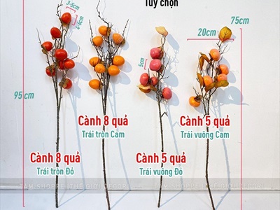 Cành trái hồng cao cấp như thật 5-8 trái CANHTRAI-02