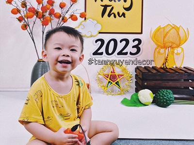 Cành trái hồng cao cấp như thật 5-8 trái CANHTRAI-02