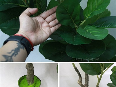 Cây bàng Singapore giả trang trí loại 1 cao 60-150cm CHAUCAYGIA-08