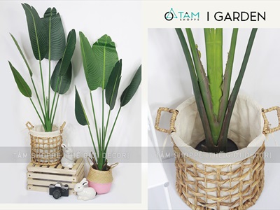 Chậu cây chuối cảnh giả cao 120-200cm CHAUCAYGIA-17